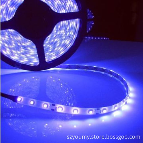 Professional Manufacturer SMD 3528 60 LEDs/m IP65 Purple LED Flexible Strips